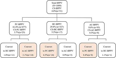 Canal switch in benign paroxysmal positional vertigo: Clinical characteristics and possible mechanisms